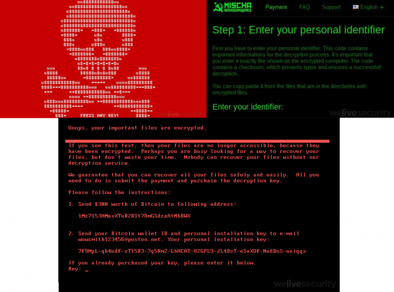 mischa-y-petya-768x569